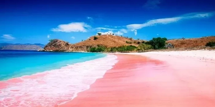 Pantai-Pink-Keindahan-dan-Pesona-Tersembunyi-dari-Nusa-Tenggara-Timur