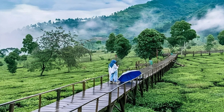 Aktivitas Wisata Edukasi dan Relaksasi