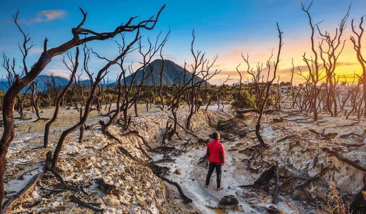 Gunung-Papandayan,-Surga-Edelweis-dan-Kawah-Menakjubkan-di-Jawa-Barat