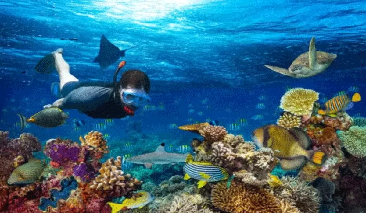 Keindahan Pulau Mahitam: Surga Tersembunyi Di Lampung Yang Memukau