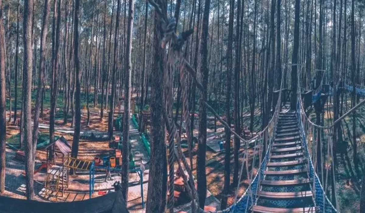 Keindahan Alam dan Fasilitas Pendukung Wisata